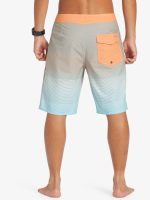 Maillot  Quicksilver Surfsilk Massive 20"