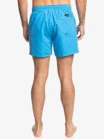 Maillot Quicksilver Everyday Volley 15"