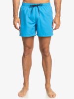 Maillot Quicksilver Everyday Volley 15"