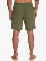 Maillot Quicksilver Amphibien Taxer Heather 18"