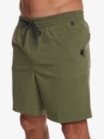 Maillot Quicksilver Amphibien Taxer Heather 18"