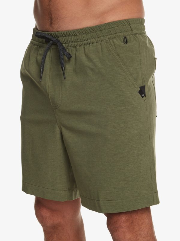 Maillot Quicksilver Amphibien Taxer Heather 18"