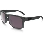 Lunette Oakley HOLBROOK STEEL W/ PRIZM DAILY 0OO9102