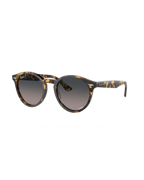 Lunette Ray-Ban Larry 0RB7680S