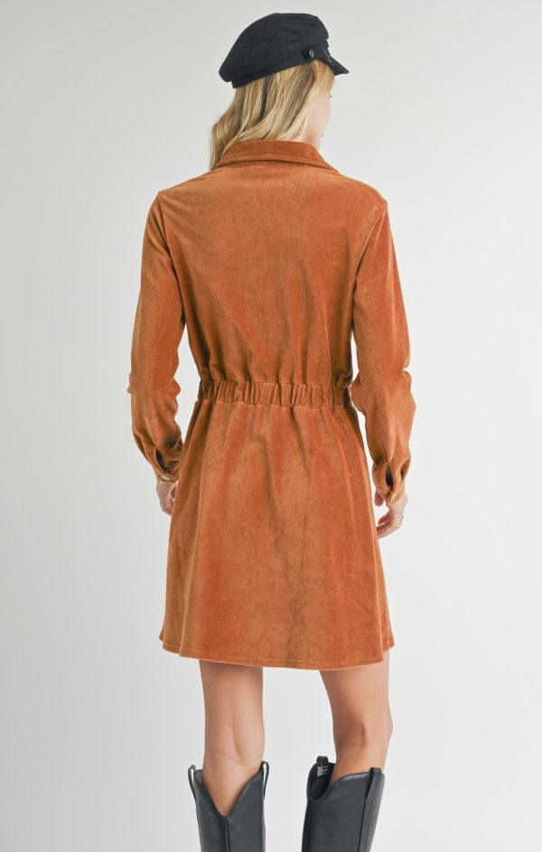 Mini Robe Chemise Sadie & Sage AG3333