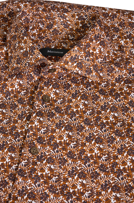 Chemise Matinique 30207584