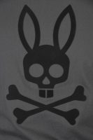 chandail Psycho bunny B6U311E200