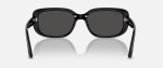 Lunette Rayban ORB4421D
