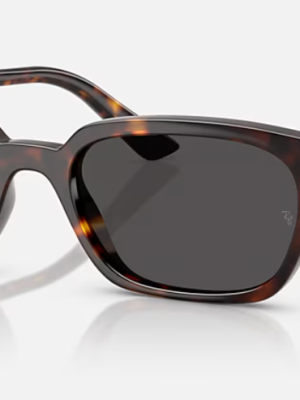 Lunette Rayban Zaya Bio-based ORB4456