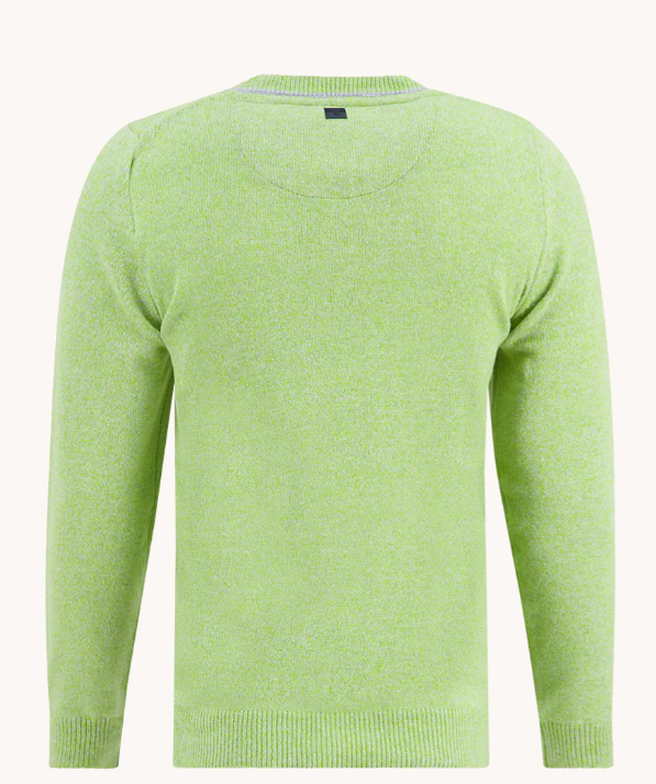 Tricot A Fish Named Fred 32.507