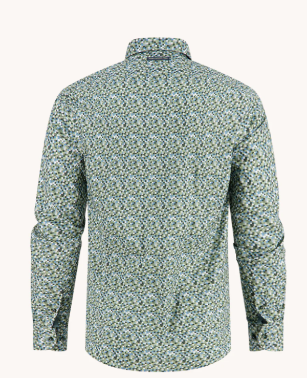 Chemise A Fish Named Fred 32.015