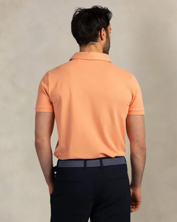 Polo extensible New Zealand Auckland 26CN150